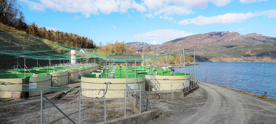 Spør om vegen til Øyerhamn: – Håpar på eit konkret og oppklarande svar