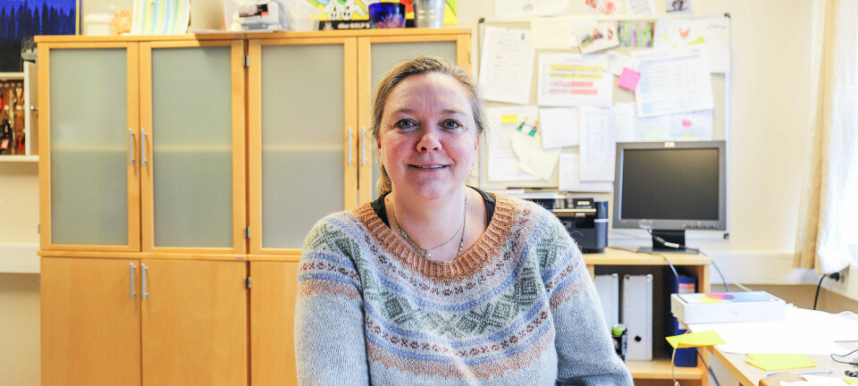 Fryktar stipendkutt vil redusera elevtalet: – Dette vil få stor effekt på rekrutteringa