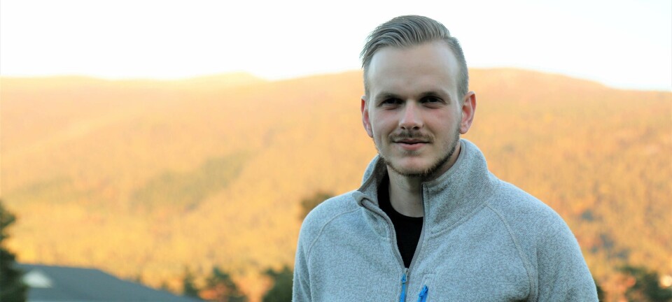 Trenar-spekulasjonar i svenske aviser