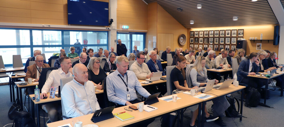 Frå heildagsskule til musikkterapi