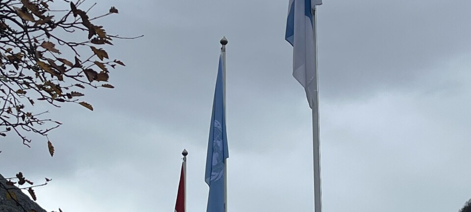 Flagga for 80-årsjubilant