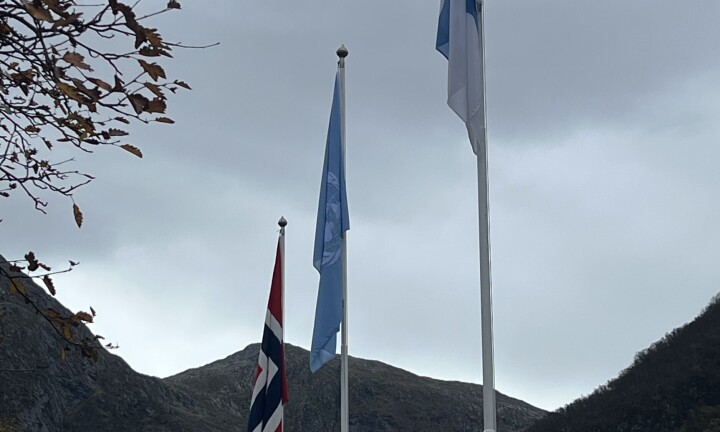 Flagga for 80-årsjubilant