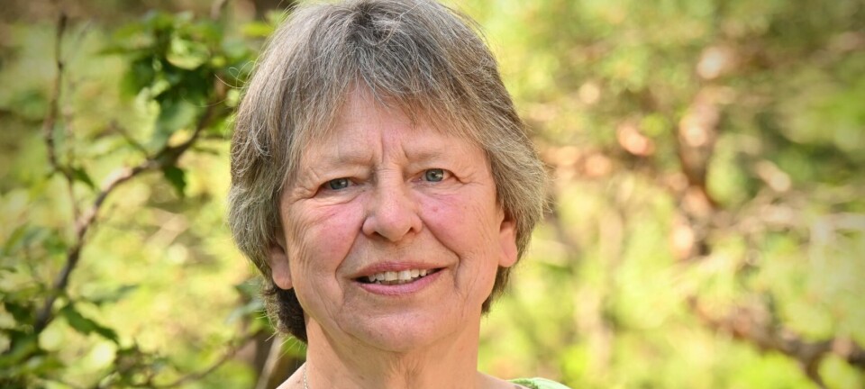 Drøsekveld om dramatisk krigshistorie